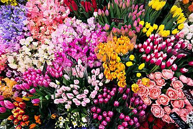 像素风恋爱互动游戏《S4U: 都市朋克2011与爱的重拳》现已推出试玩Demo